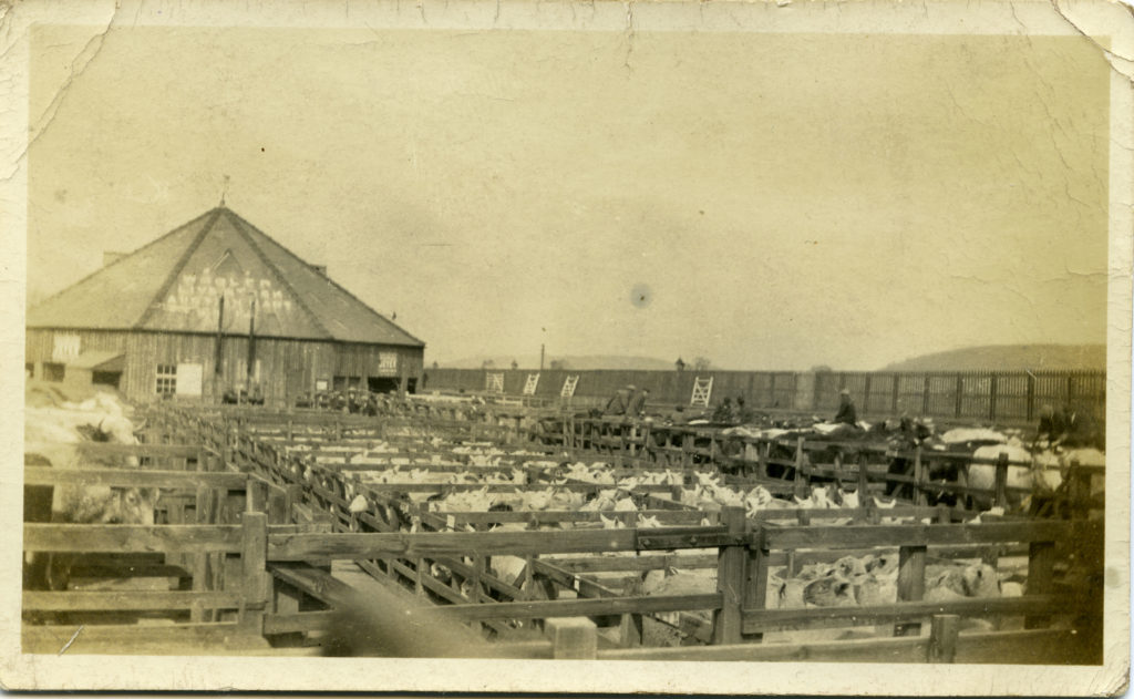 An early twentieth century photograph of Wooler Mart, where the annual Christmas Show was held in 1916. © Berwick Record Office, BRO 2134-10. 